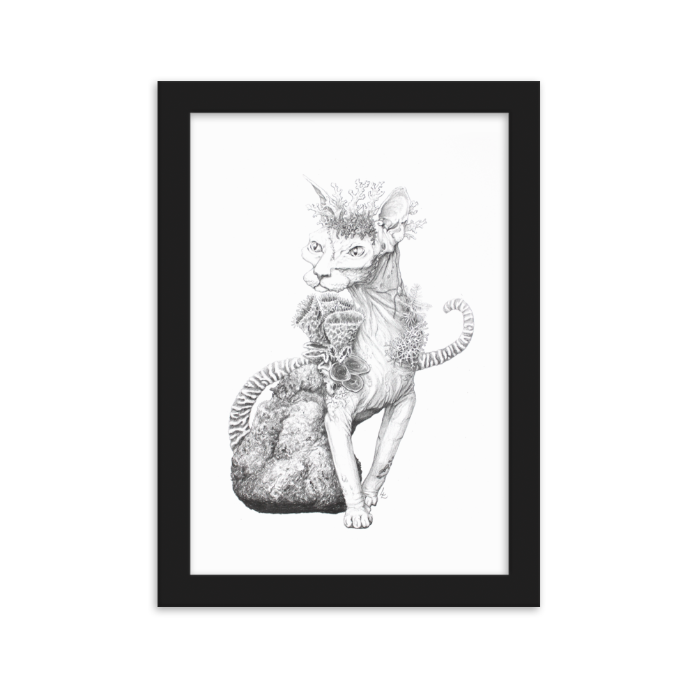 Reefcat II - Inramat tryck