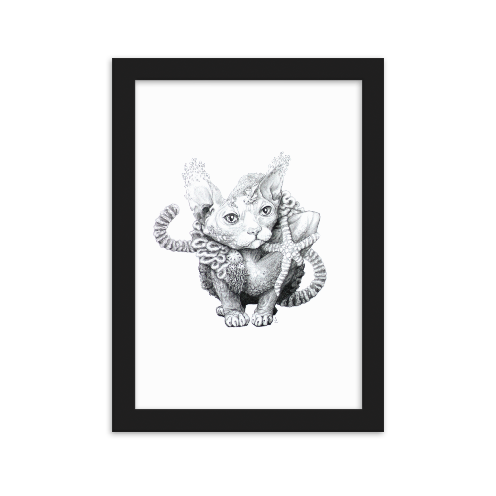 Reefcat III - Inramat tryck