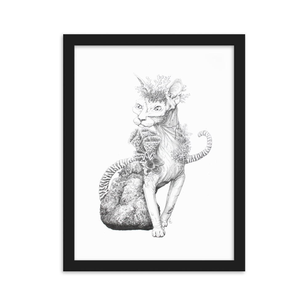 Reefcat II - Inramat tryck