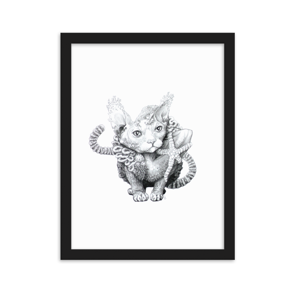 Reefcat III - Inramat tryck