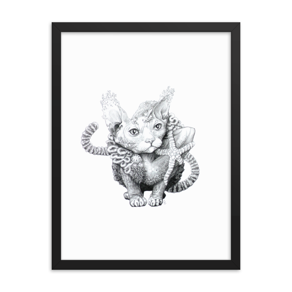 Reefcat III - Inramat tryck