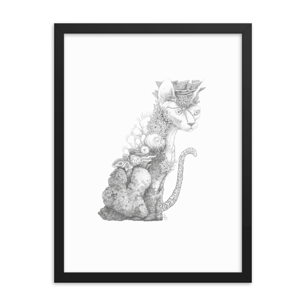 Reefcat I - Inramat tryck
