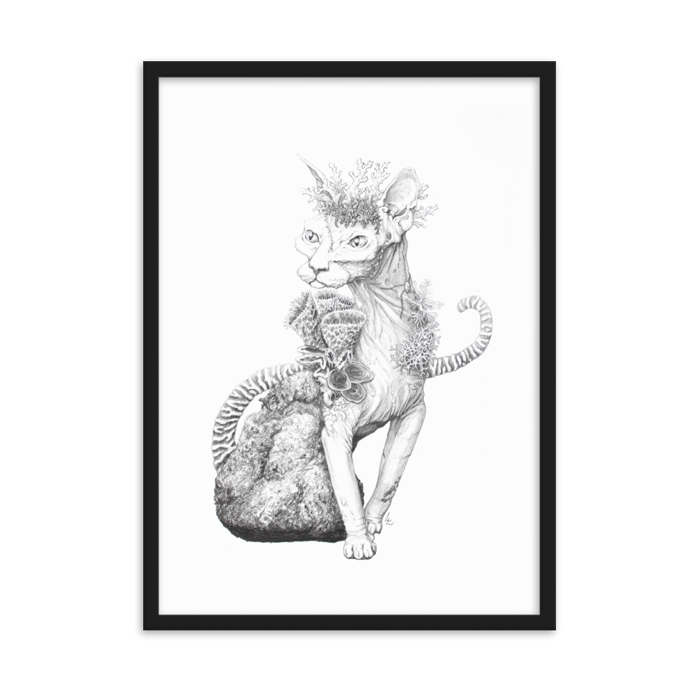 Reefcat II - Inramat tryck