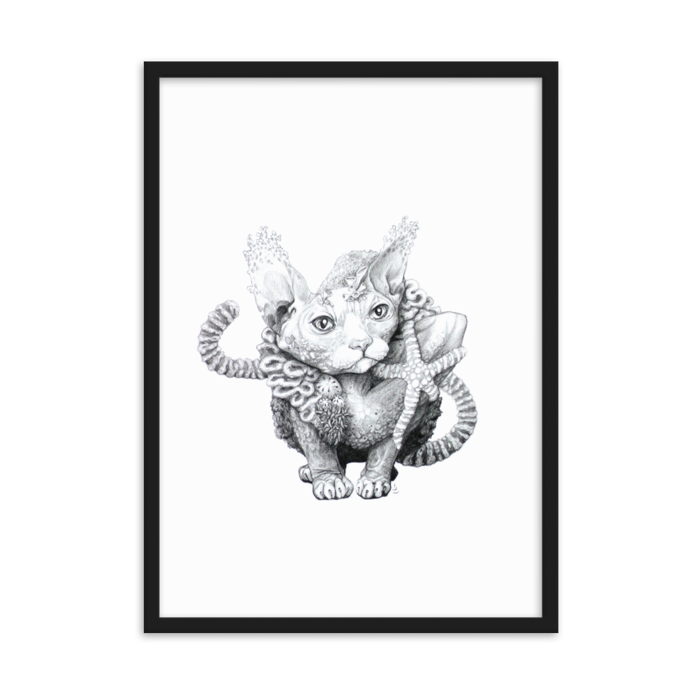Reefcat III - Inramat tryck