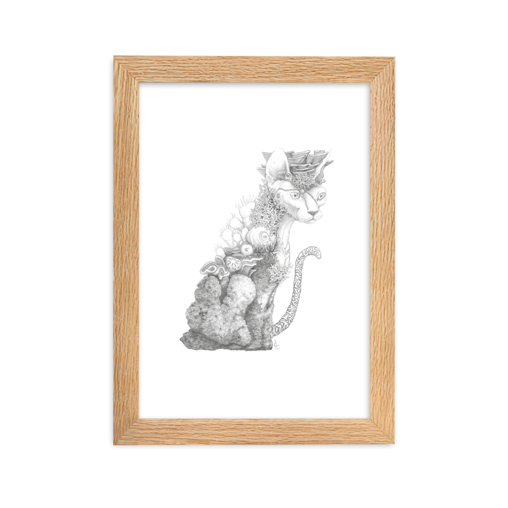 Reefcat I - Inramat tryck