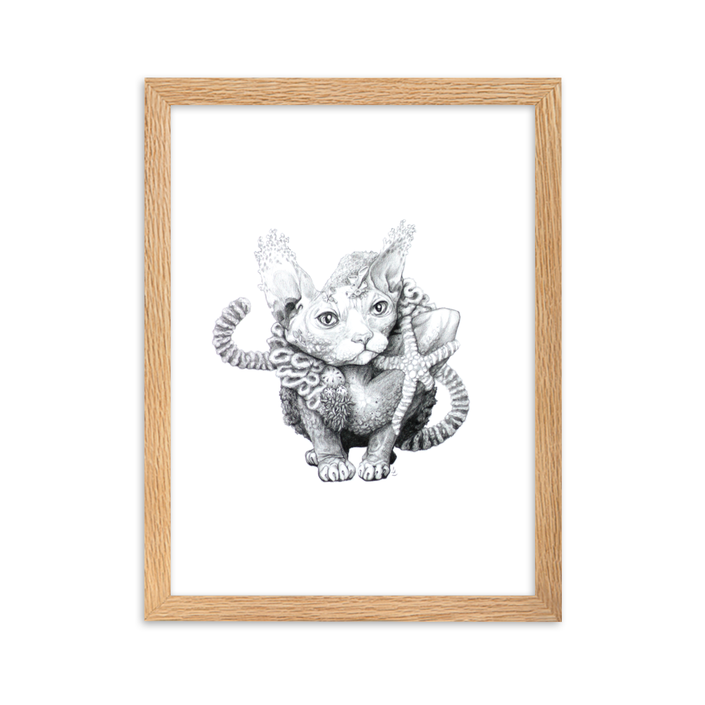 Reefcat III - Inramat tryck
