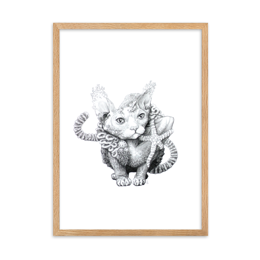 Reefcat III - Inramat tryck