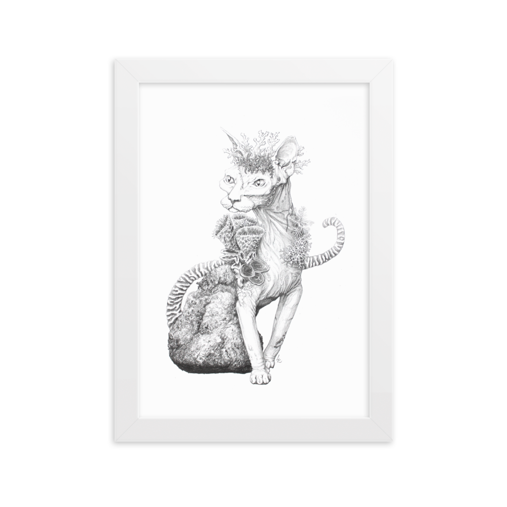Reefcat II - Inramat tryck