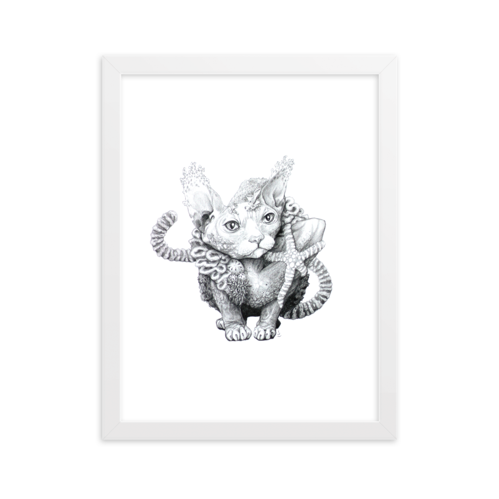 Reefcat III - Inramat tryck