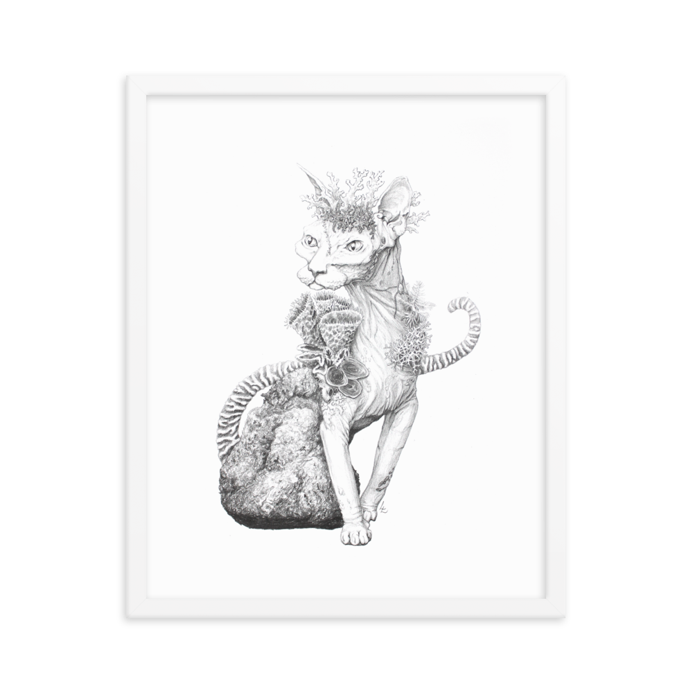 Reefcat II - Inramat tryck