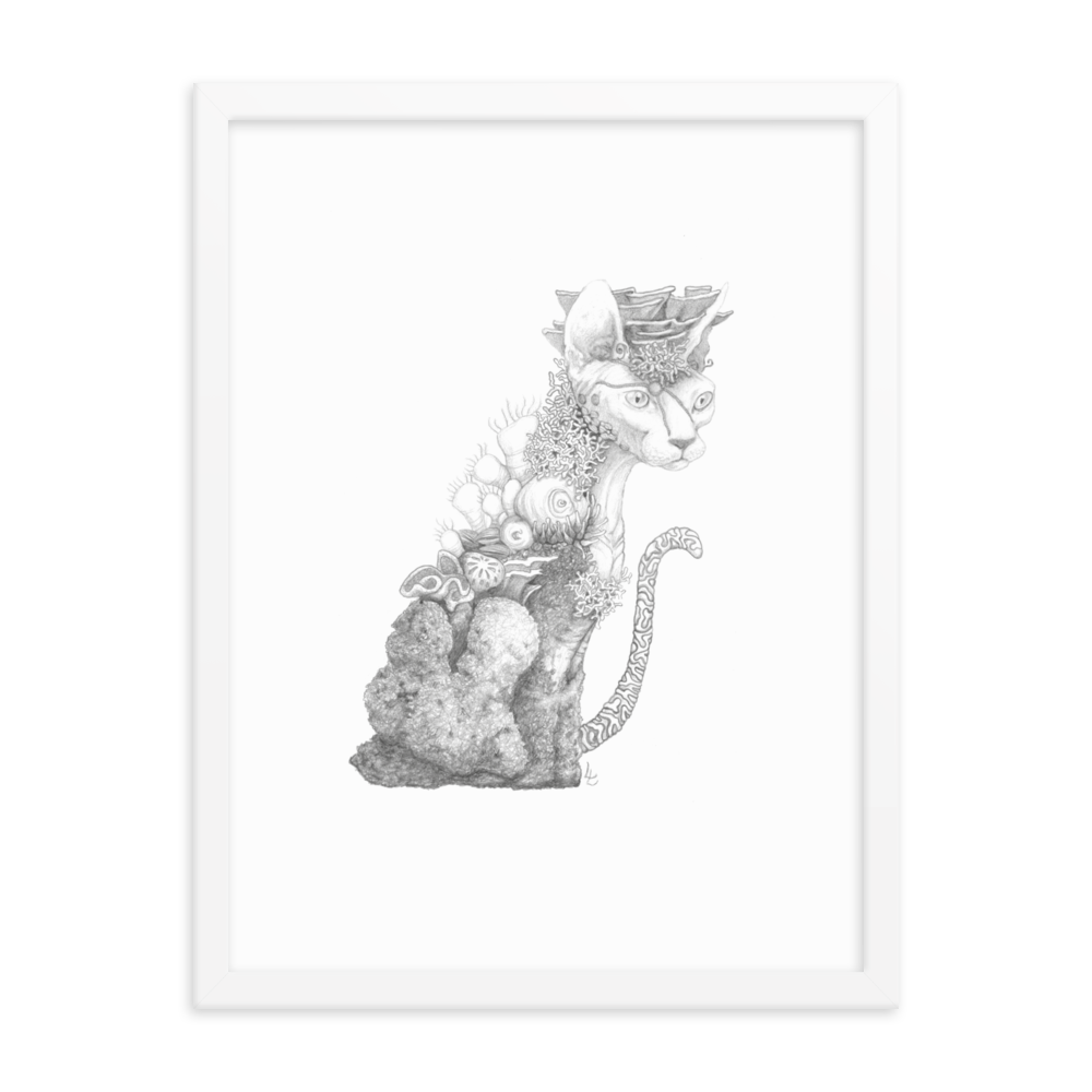 Reefcat I - Inramat tryck