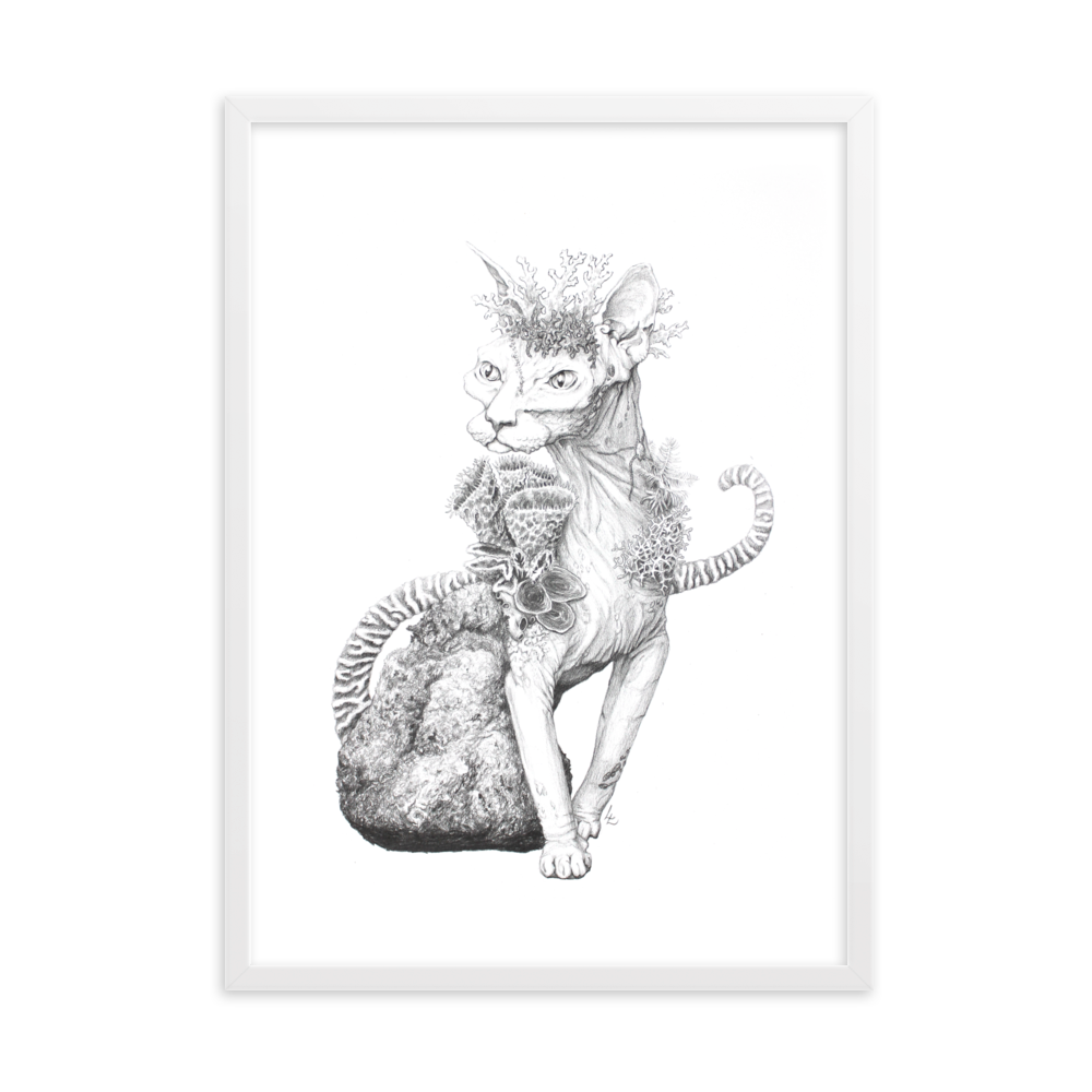 Reefcat II - Inramat tryck
